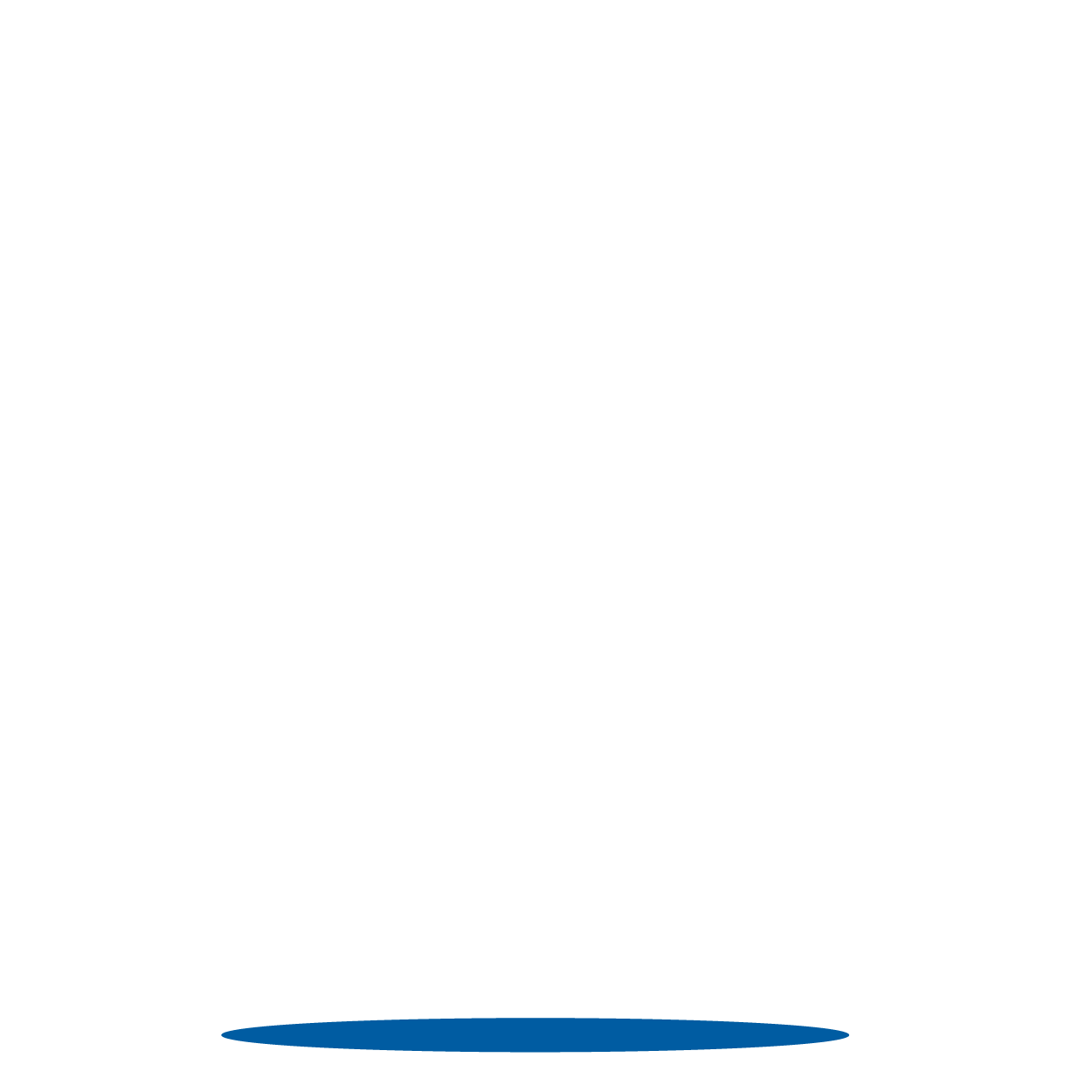 NAVIS 로고