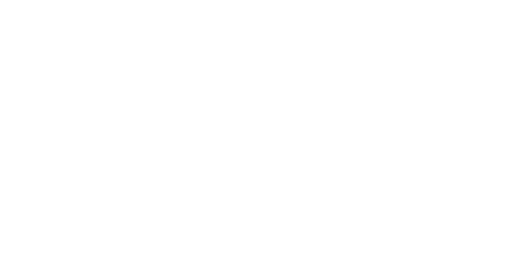NAVIS Logo